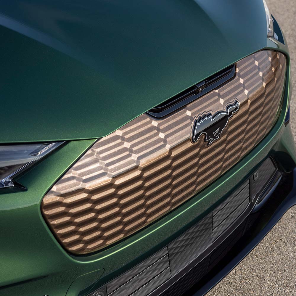 Ford Mustang Mach-E grille Bronze Pack details